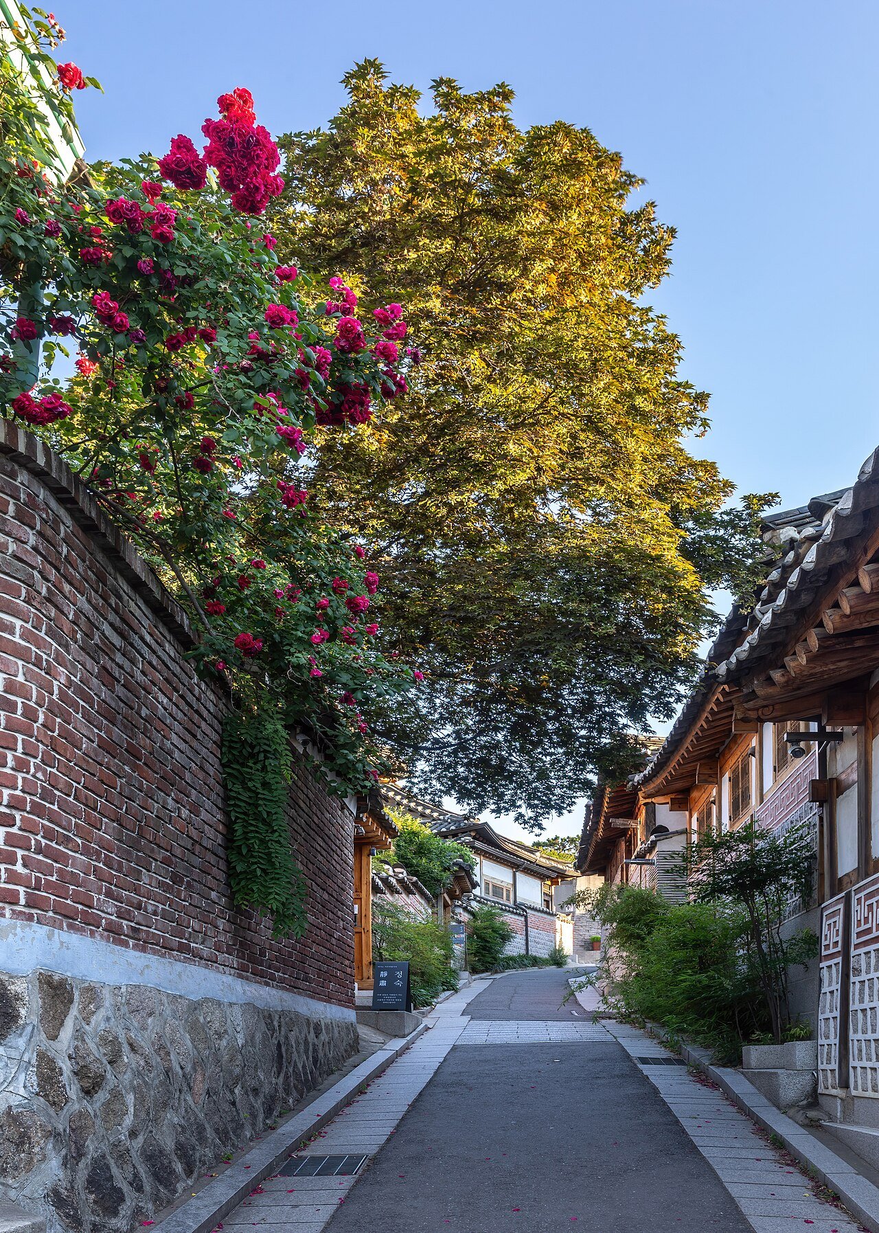 Quiet flower-lined lane of hanok houses in Bukchon, Seoul