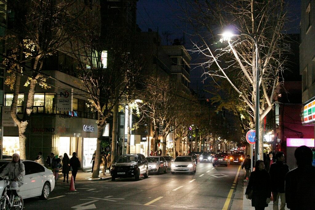 Tree-lined Garosu-gil street glowing with shop lights at night in Gangnam, Seoul