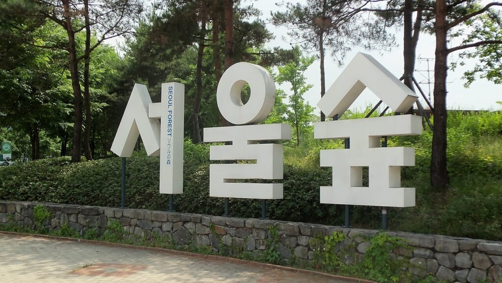 Families enjoy the wide green lawns of Seoul Forest park