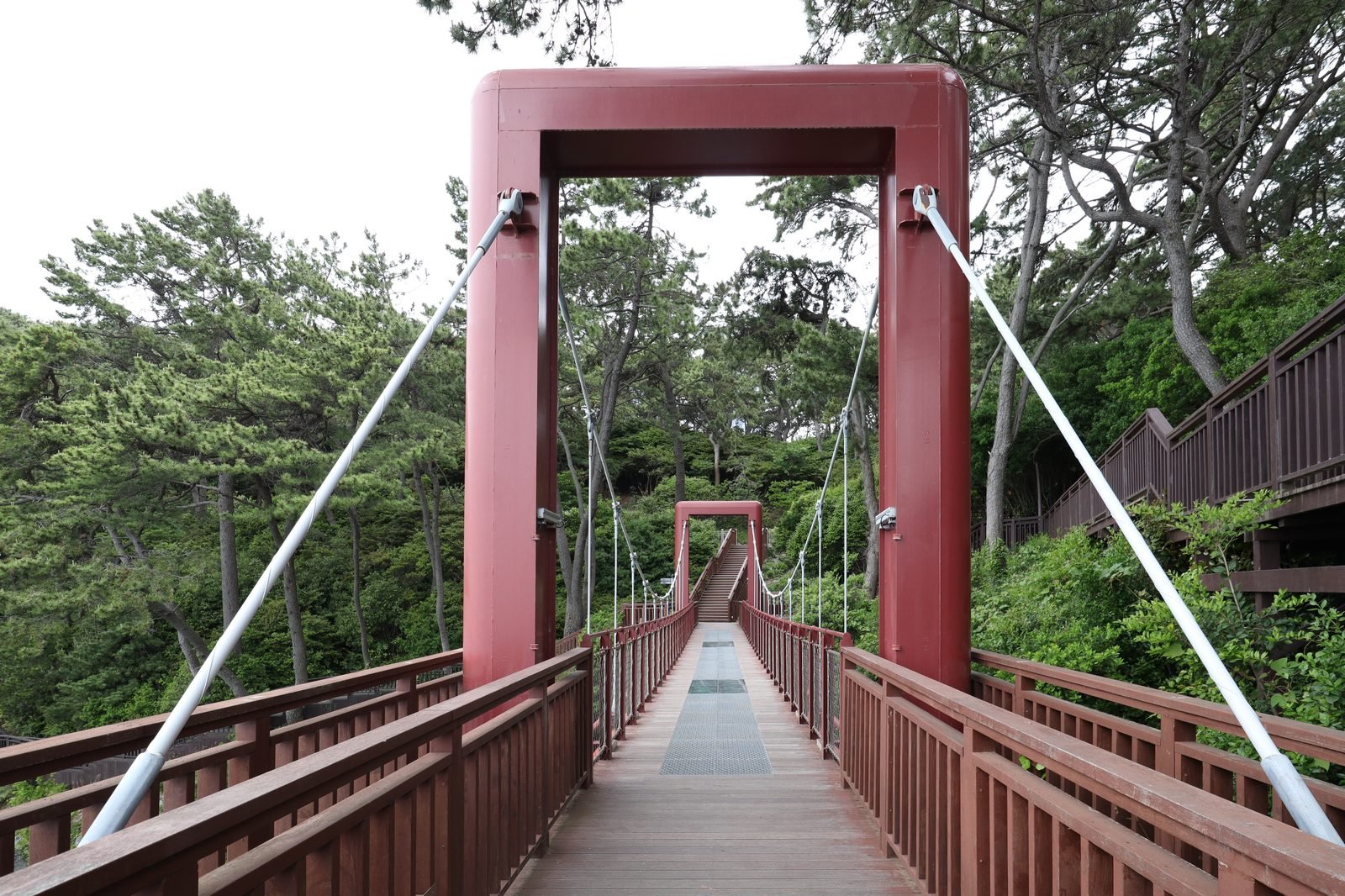 A suspension bridge along the pine-covered coastal loop trail on Dongbaekseom island