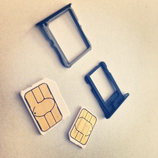 Micro SIM and nano SIM cards next to their plastic trays