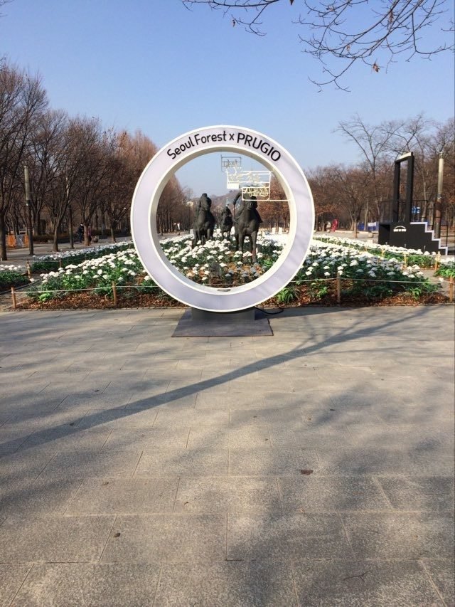 Seoul Forest Park near the entrance beside SM Entertainment's headquarters